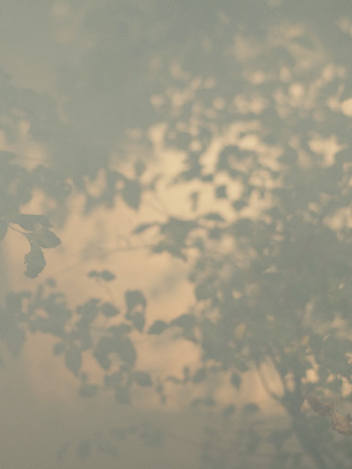 Thumbnail of p-du84cqxdl0l-6bdde58020f9471d 5