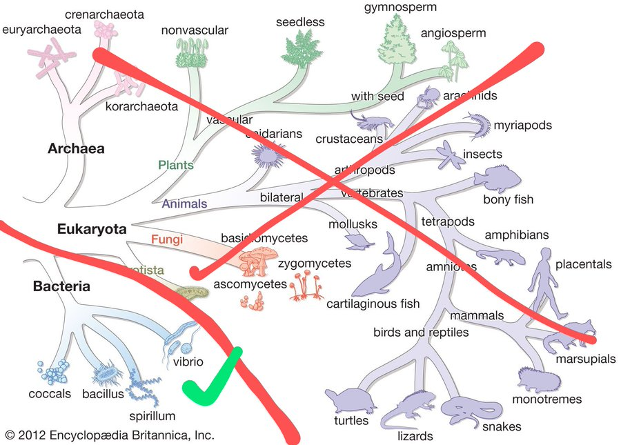 Thumbnail of www-x-com-divinelydesined-status-2012168907222565249