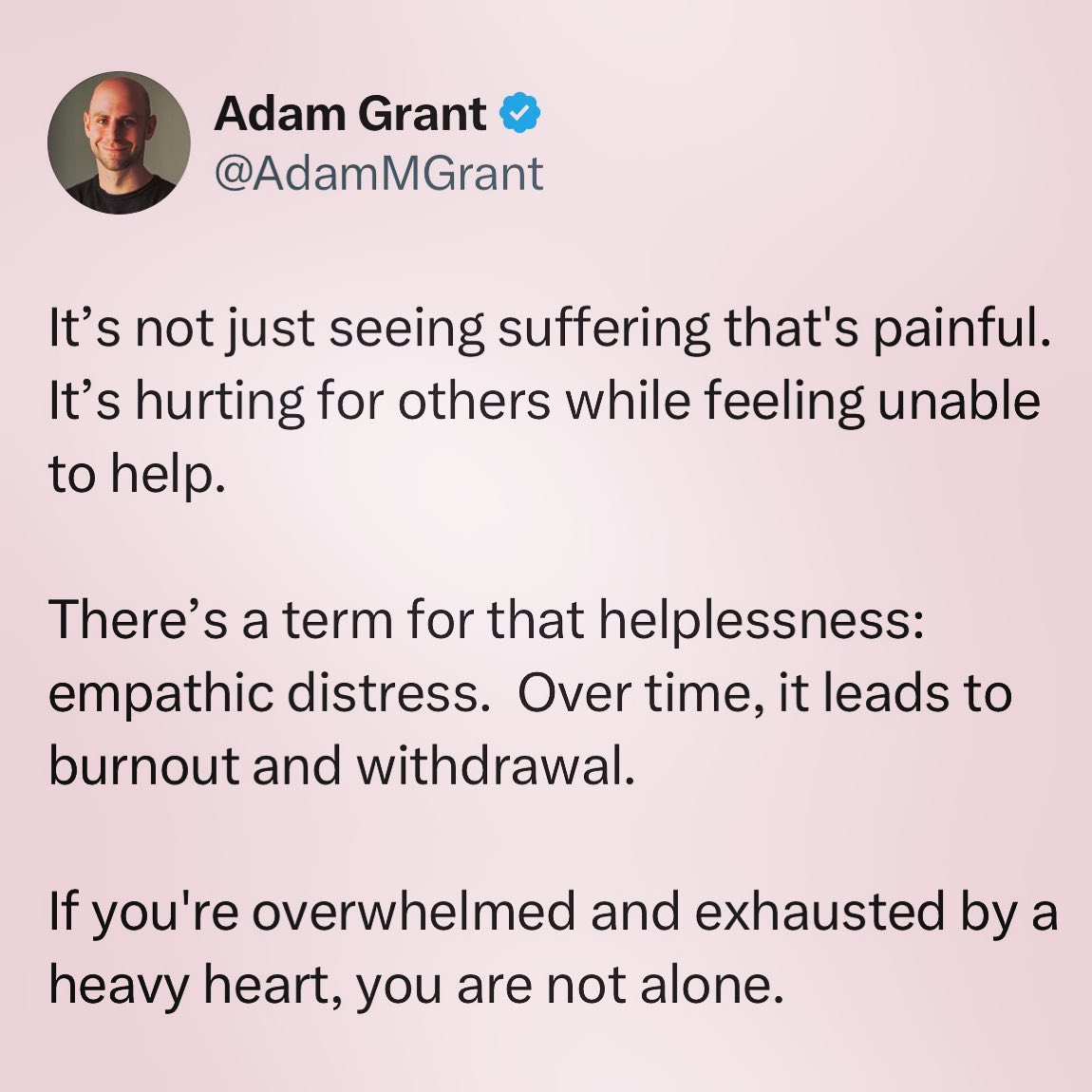 Thumbnail of p-cyvvzsalege-732927ab38974ce7 0