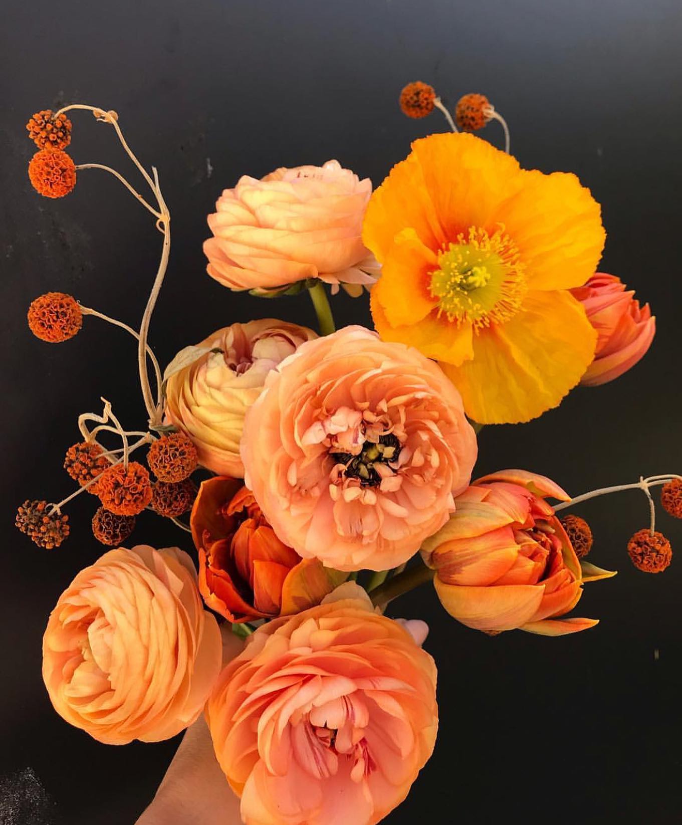 Thumbnail of byvm7wabr-p-74dc7e50a3a14566 0