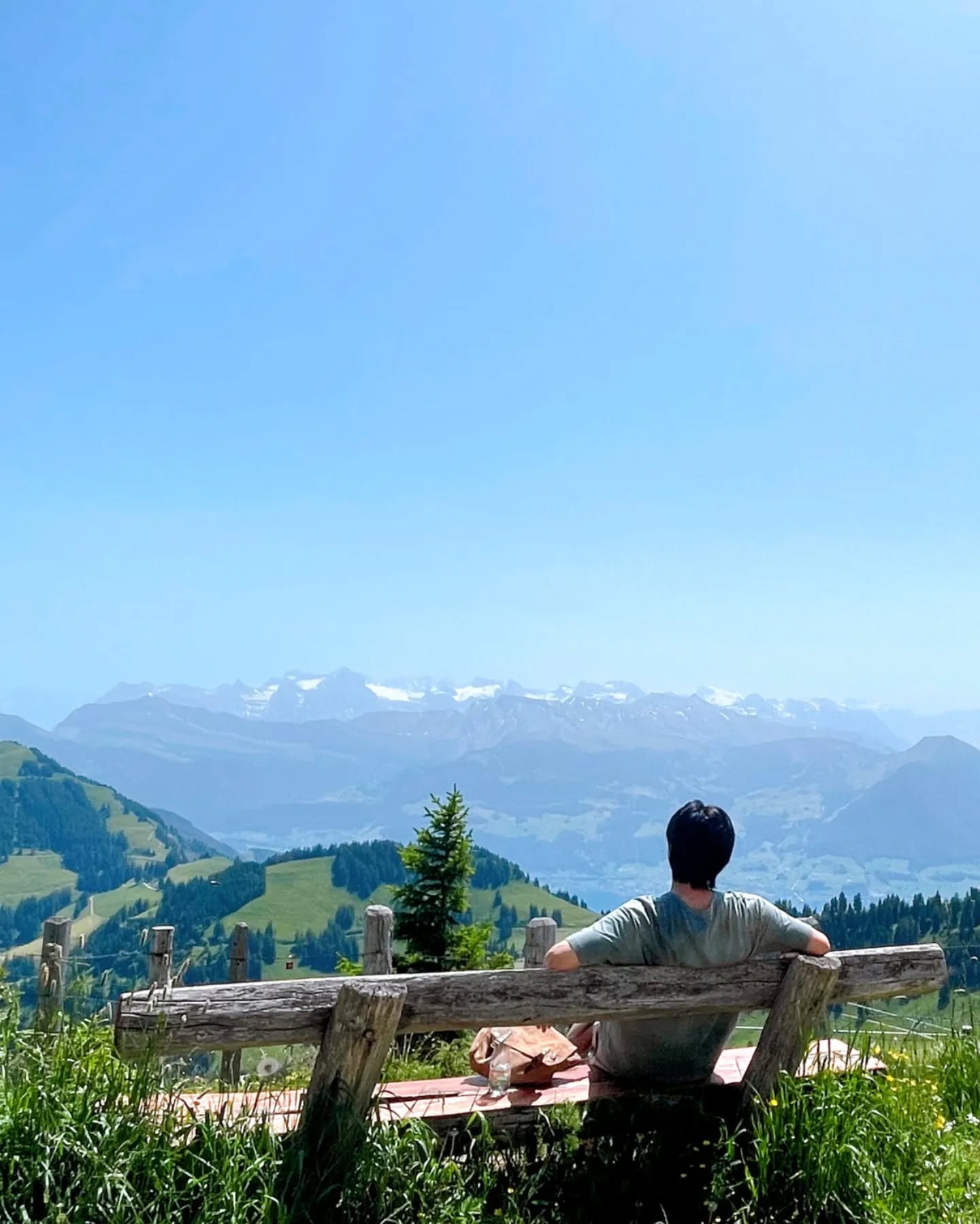 Thumbnail of p-cfqvnmcvz16-7575277549ad4da3 2