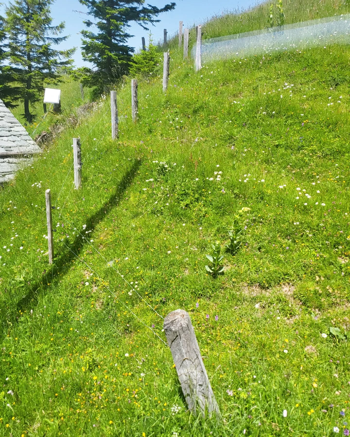 Thumbnail of p-cfqvnmcvz16-7575277549ad4da3 3