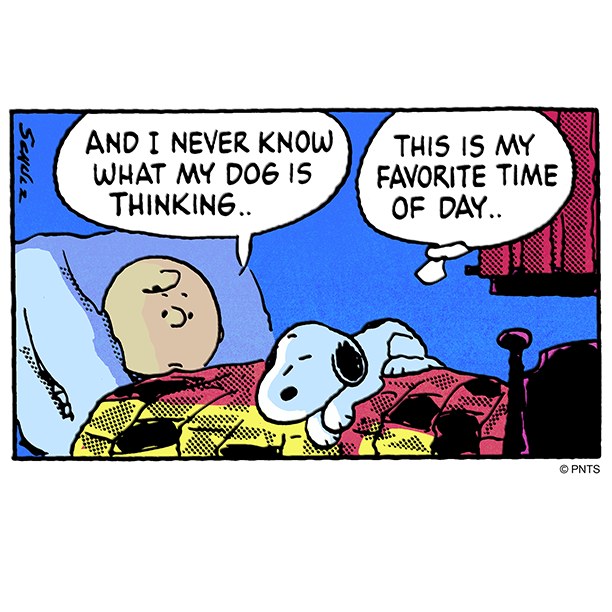 Thumbnail of www-instagram-com-p-dwr0riwmutm 0