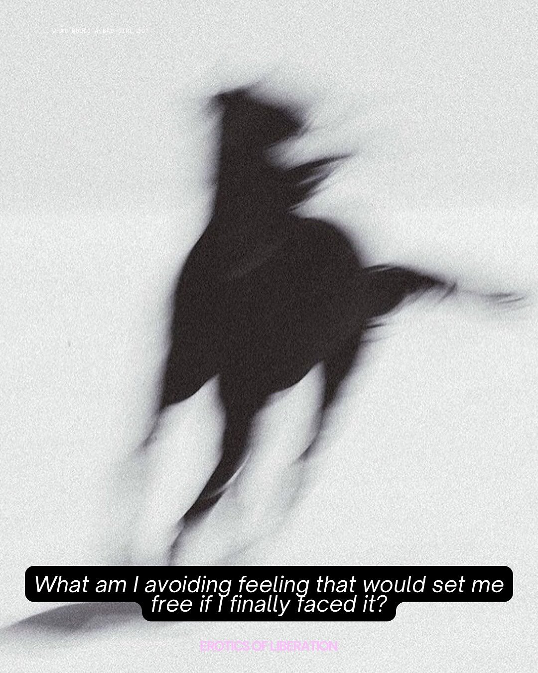 Thumbnail of p-dqrmsmsjeuw-764f6cf45e8c4bfb 1