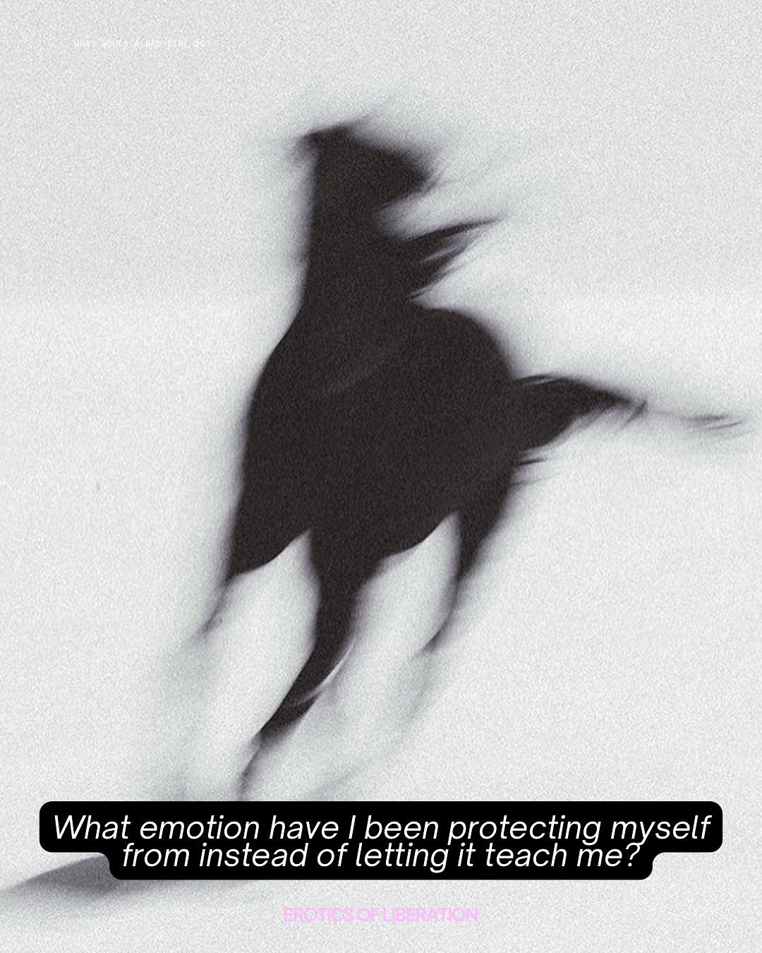 Thumbnail of p-dqrmsmsjeuw-764f6cf45e8c4bfb 3