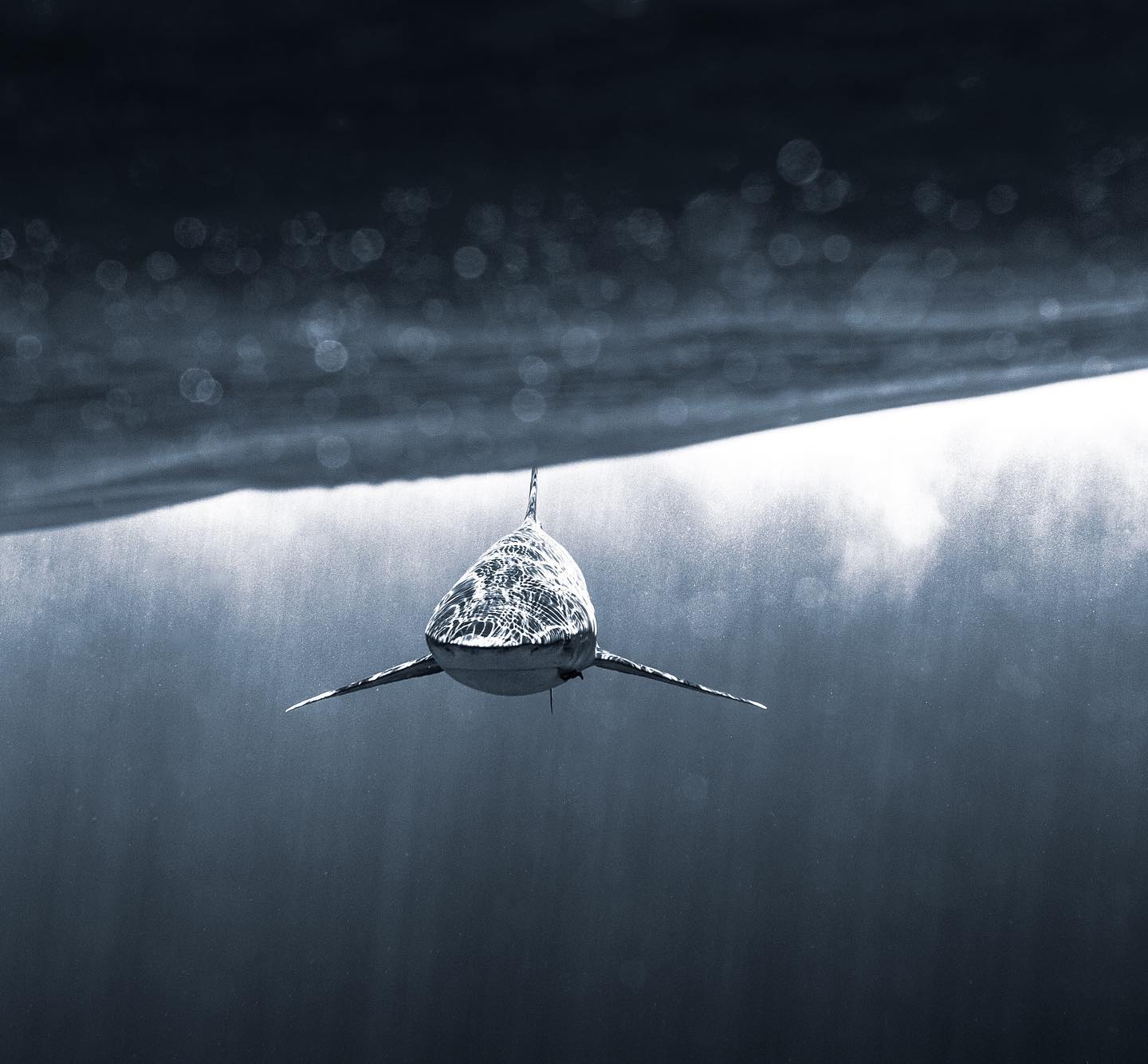 Thumbnail of p-ci1ua59hg2c-78a1b4cd5c6b4ece 0