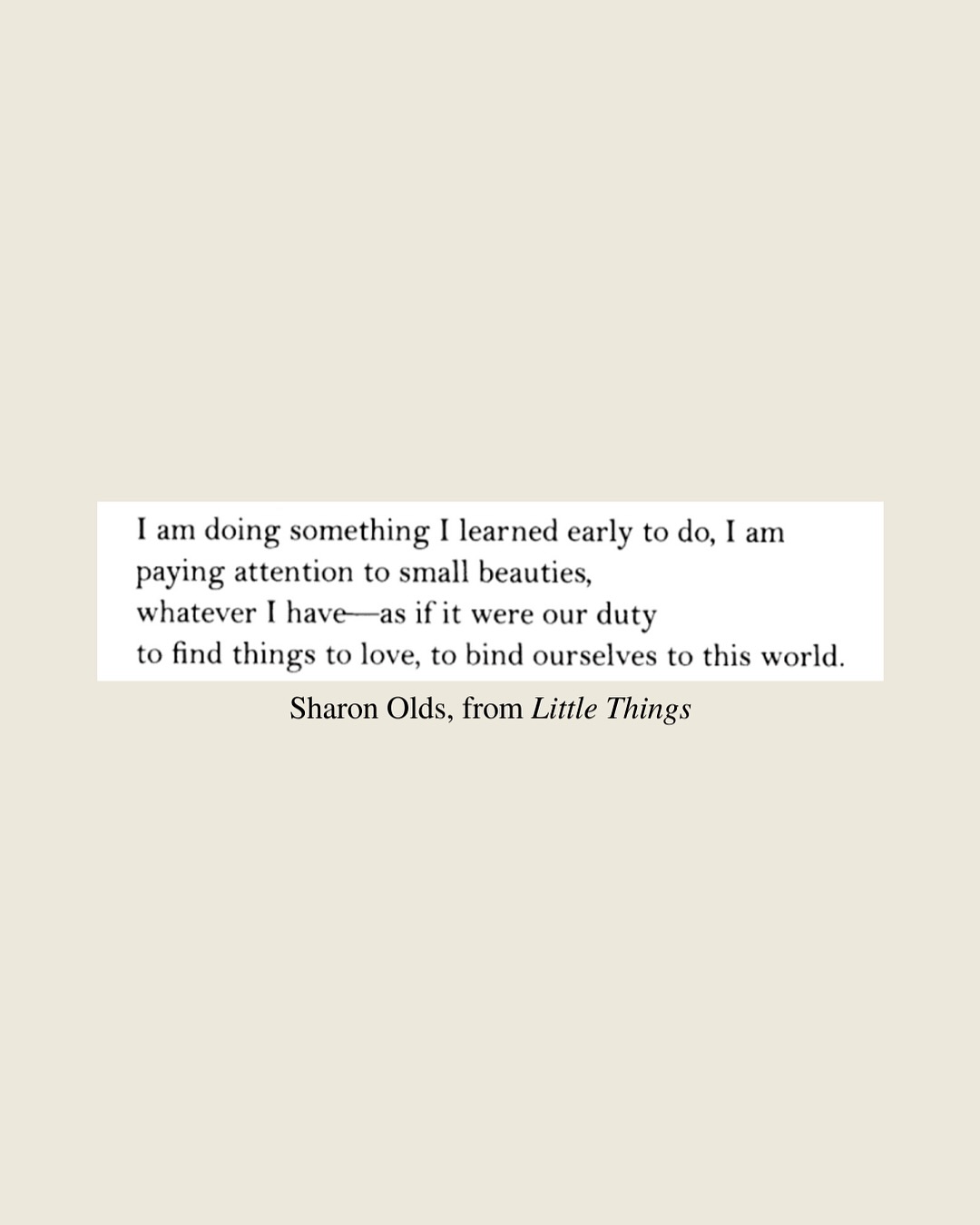 Thumbnail of p-dojv2jajdmd-78b58fbef8ae4520 10