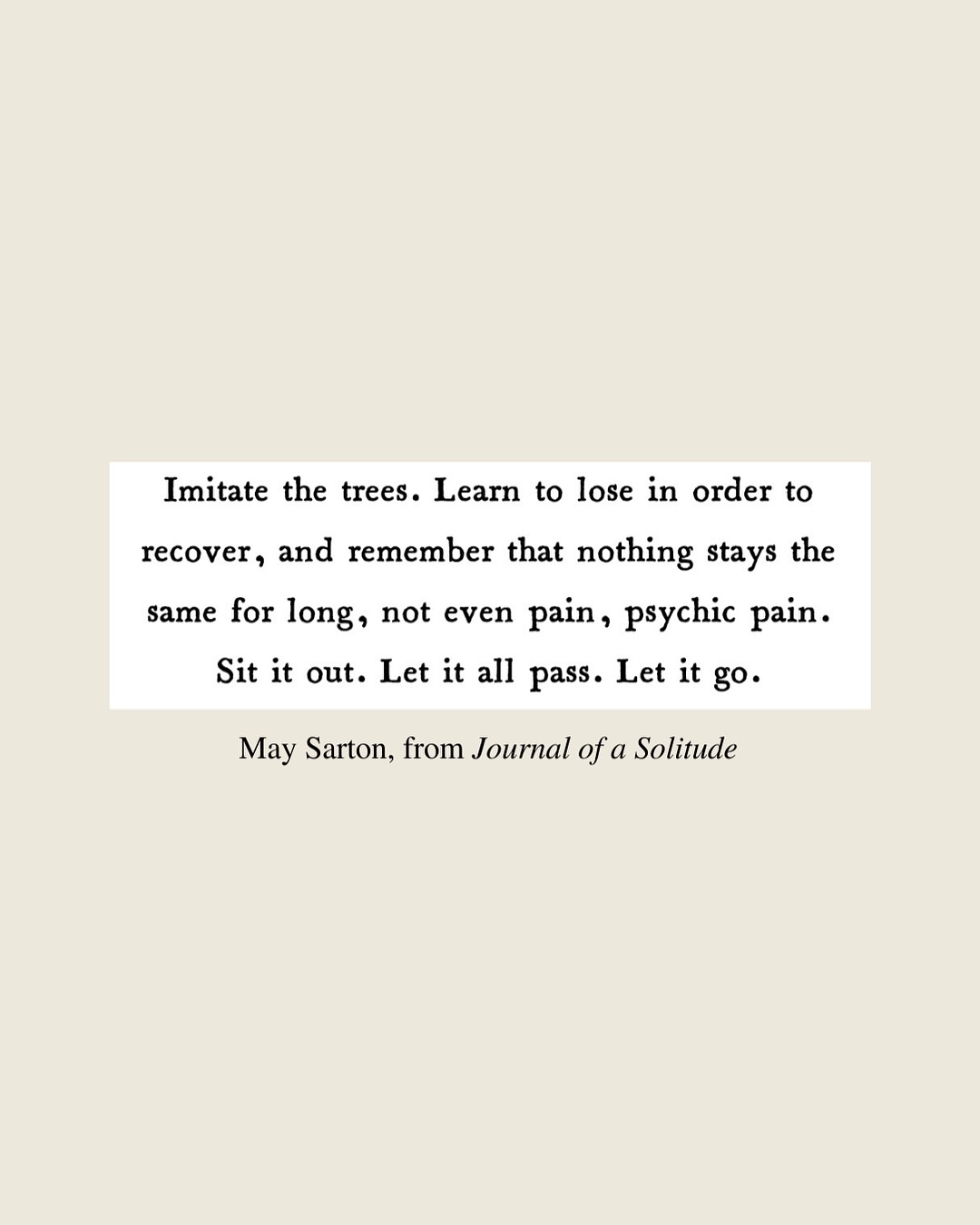 Thumbnail of p-dojv2jajdmd-78b58fbef8ae4520 2