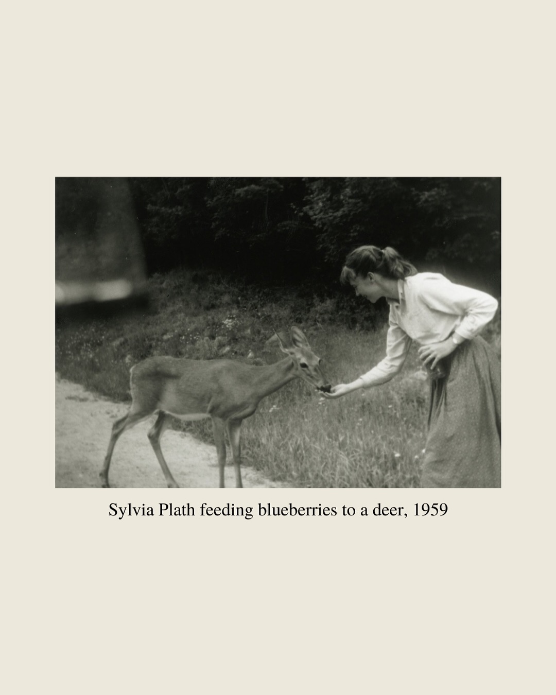 Thumbnail of p-dojv2jajdmd-78b58fbef8ae4520 5