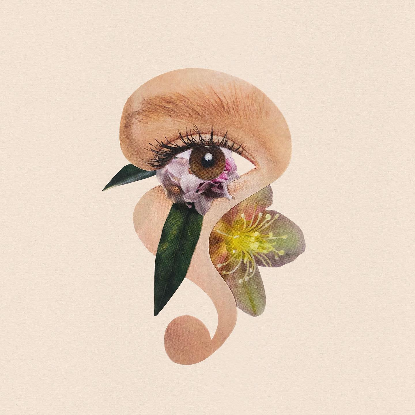 Thumbnail of pbu-elxpd-79214b0c2d934f0a 0