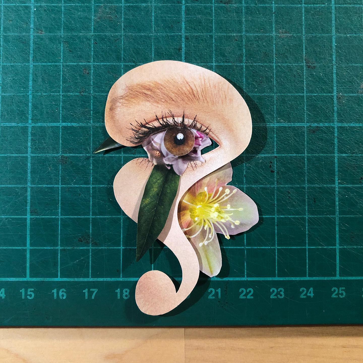 Thumbnail of pbu-elxpd-79214b0c2d934f0a 1