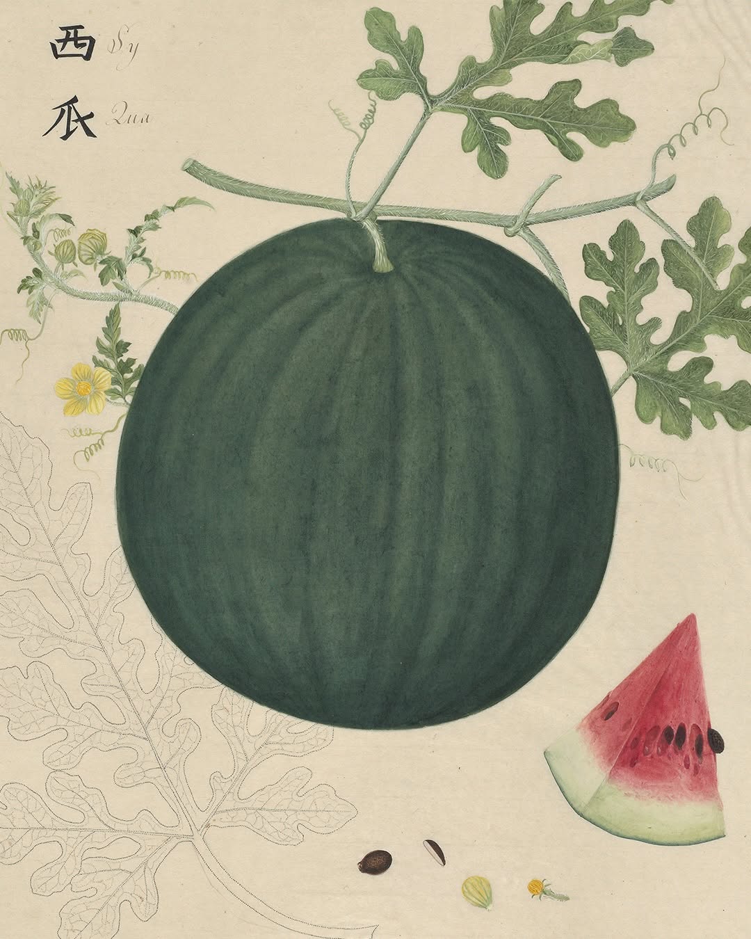 Thumbnail of www-instagram-com-p-dsslosfcphu-img-index-3 1