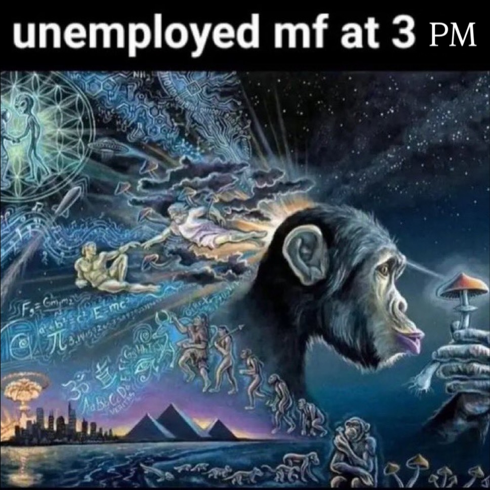 Thumbnail of www-instagram-com-p-drp3oeodkgm-img-index-4 12