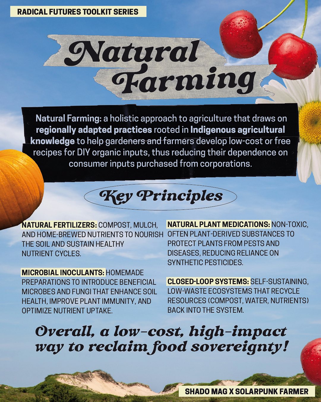 Thumbnail of p-ditddgqi89q-7d68aabebb8a46c1 10