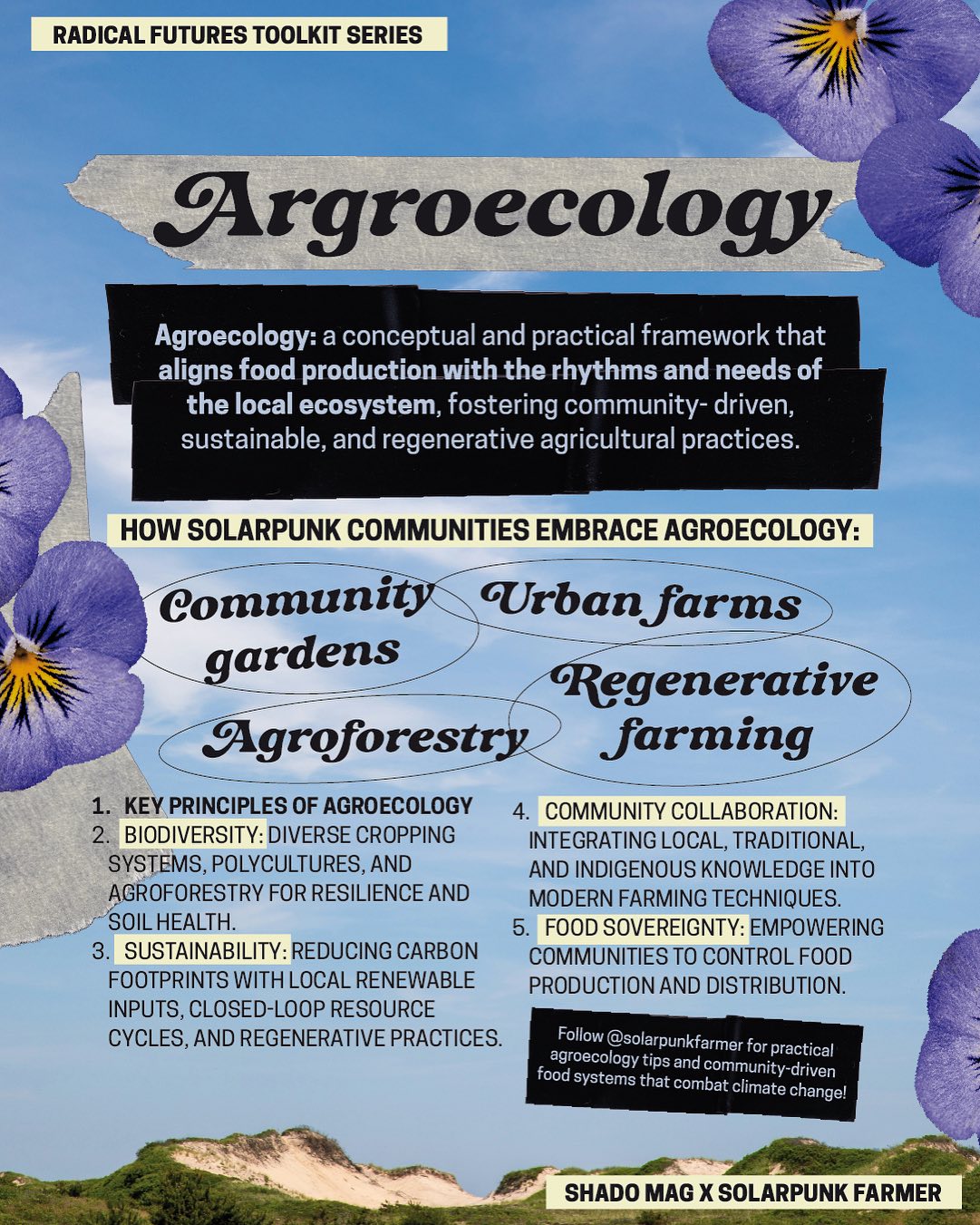 Thumbnail of p-ditddgqi89q-7d68aabebb8a46c1 4