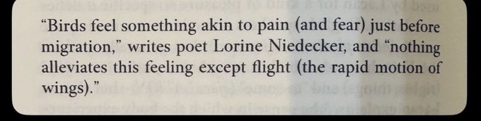 Thumbnail of www-x-com-literariium-status-2039206334391062644-7e62c34a655f4139