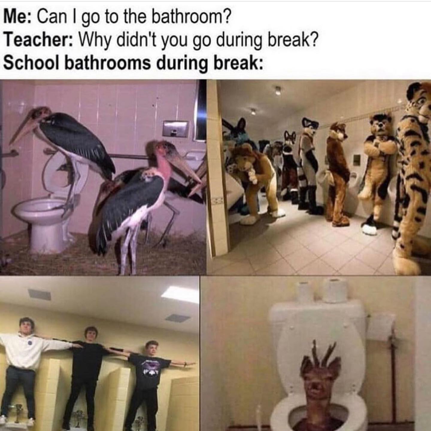 Thumbnail of p-b3zu9fhfw6b-7ea77620f061402c 1