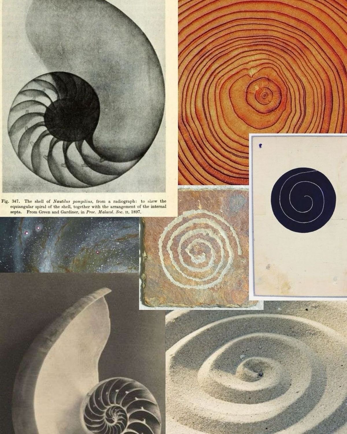 Thumbnail of mae-luckiestgirl13 0