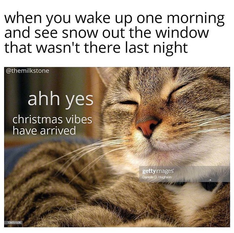 Thumbnail of p-b5ostvql8cq-83b979550c7f4258 3