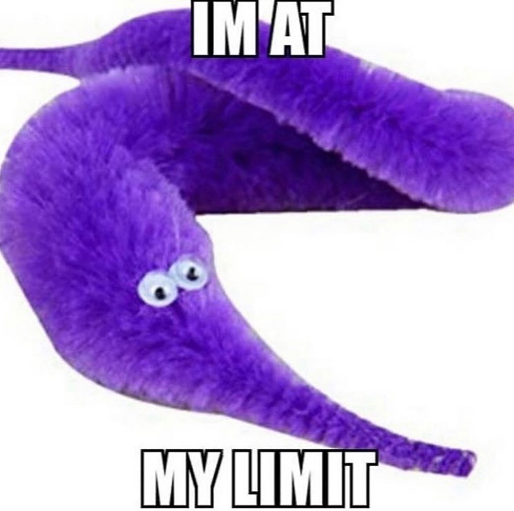 Thumbnail of p-b5ostvql8cq-83b979550c7f4258 9