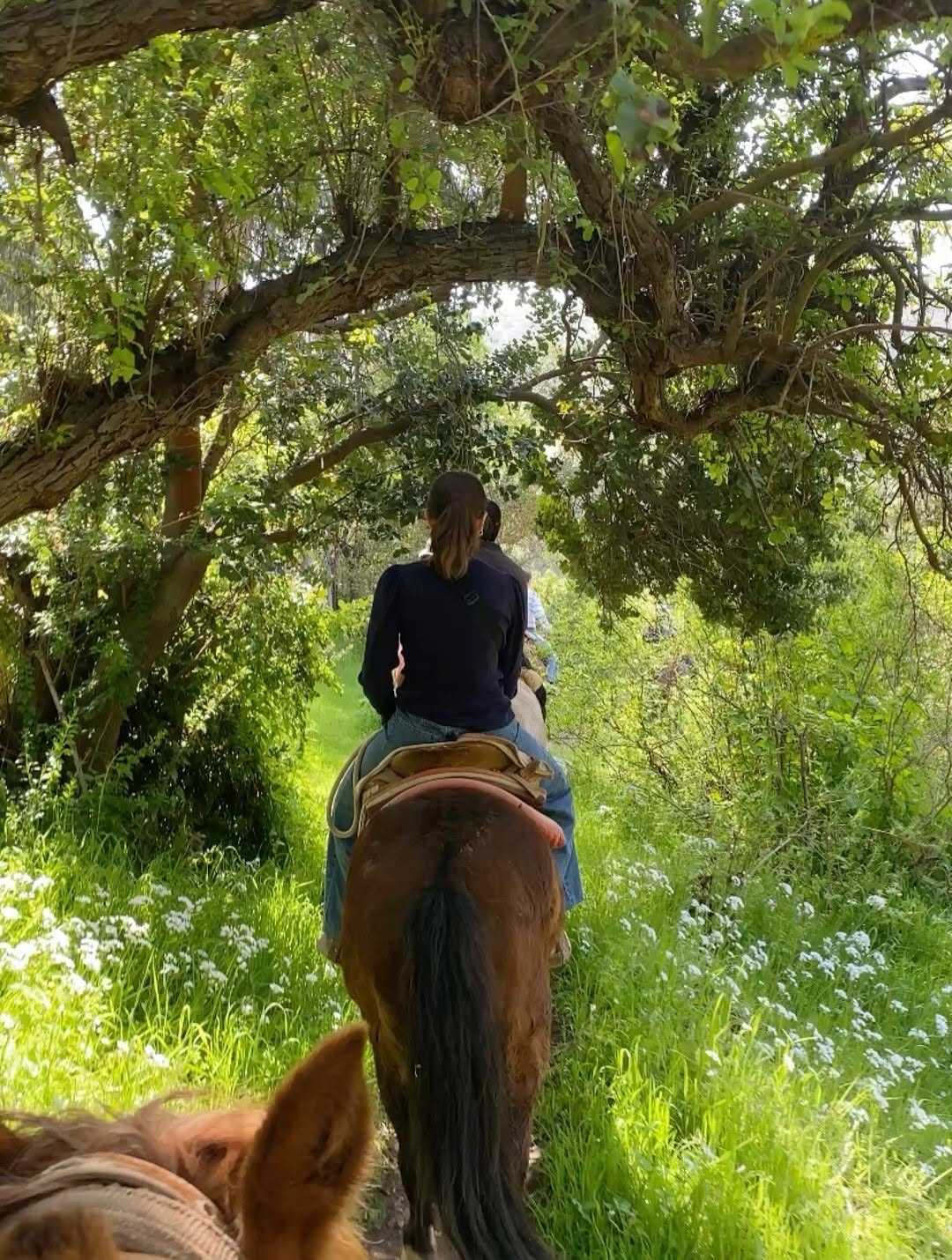 Thumbnail of www-instagram-com-p-dsu-hynkx7a 6