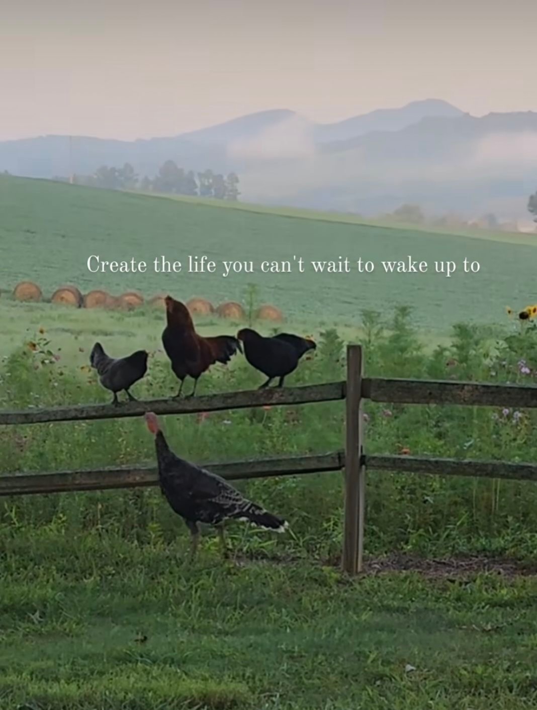 Thumbnail of www-instagram-com-p-dsu-hynkx7a 7