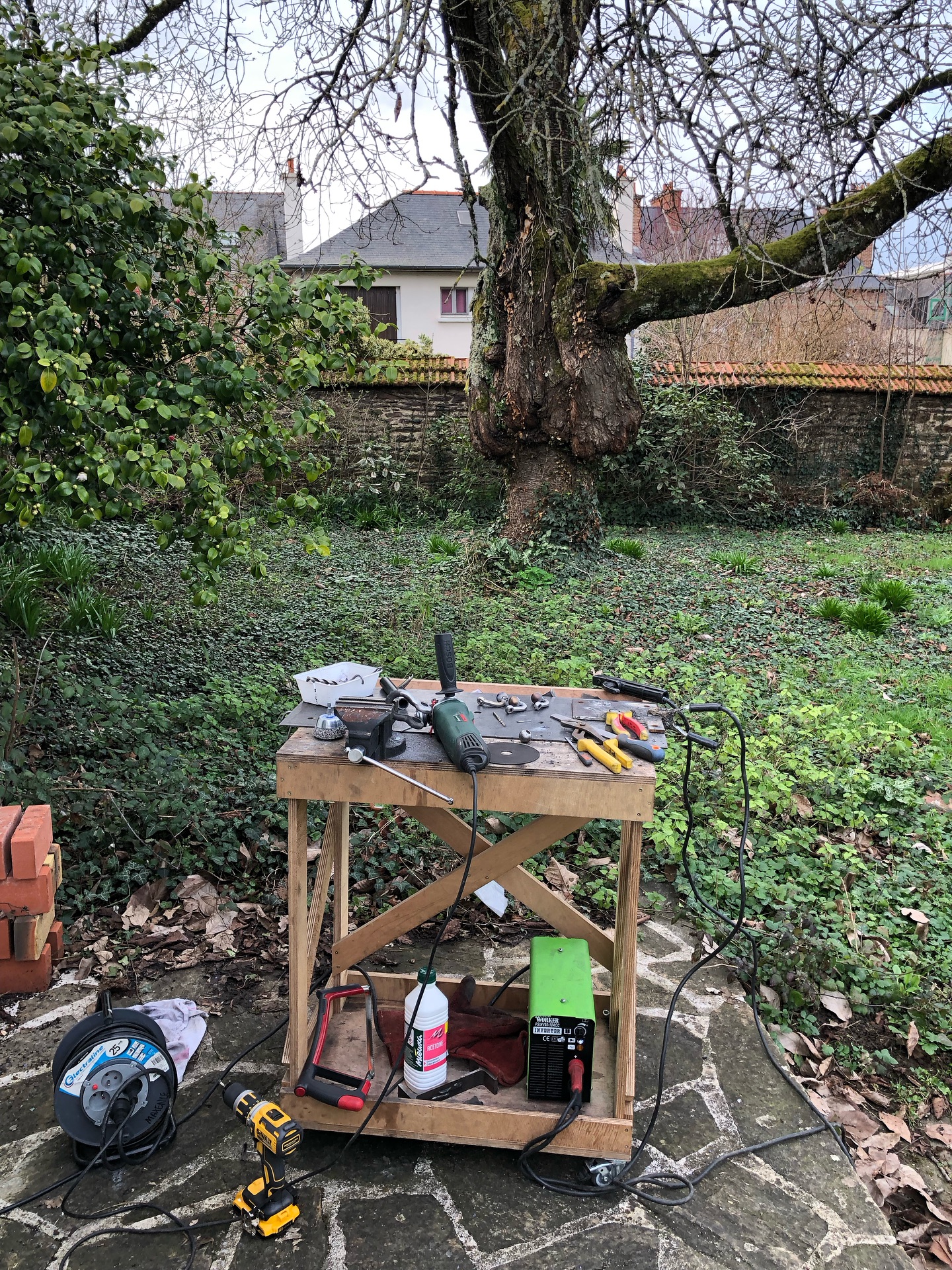 Thumbnail of p-dmu96jmids6-8452a07b52fd4dd4 9