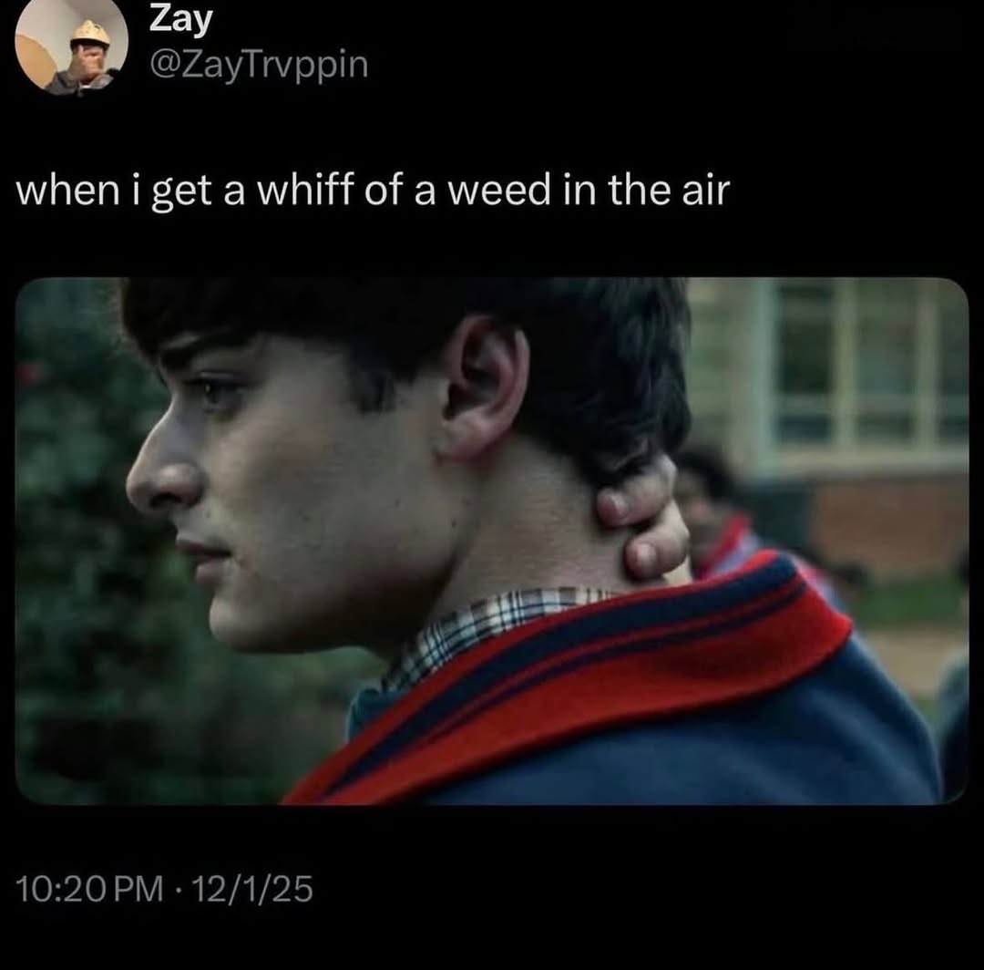 Thumbnail of www-instagram-com-p-dsyfbckecxv-hl-en-img-index-2 3