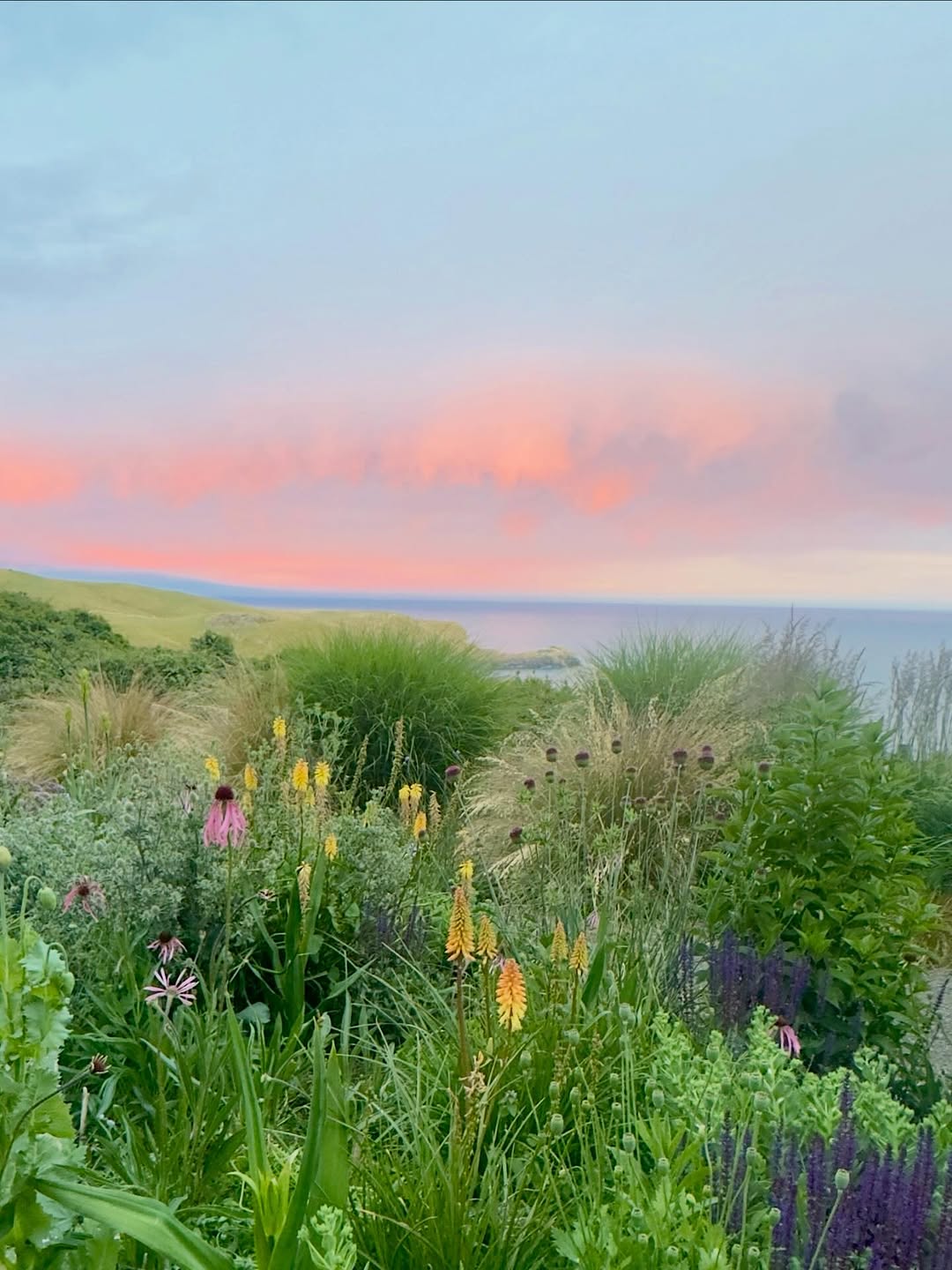 Thumbnail of www-instagram-com-p-dsuil8gfic7-img-index-2 0