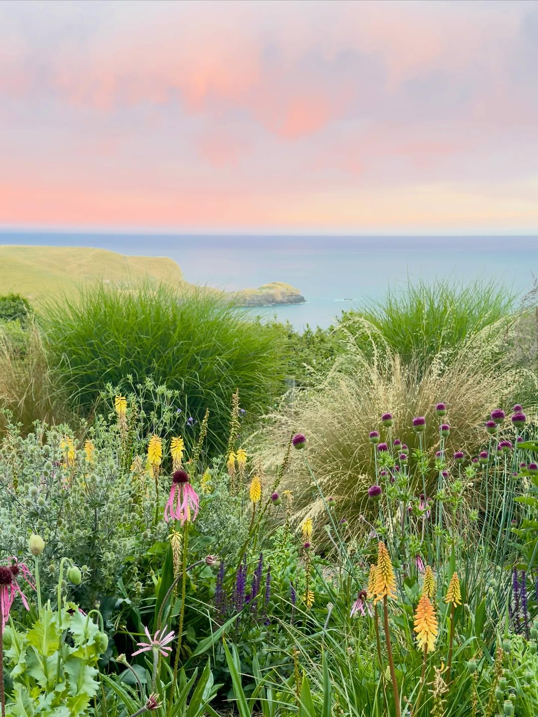 Thumbnail of www-instagram-com-p-dsuil8gfic7-img-index-2 1