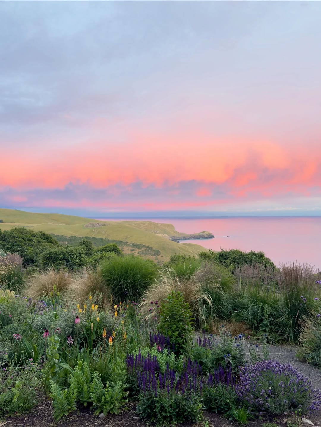 Thumbnail of www-instagram-com-p-dsuil8gfic7-img-index-2 2