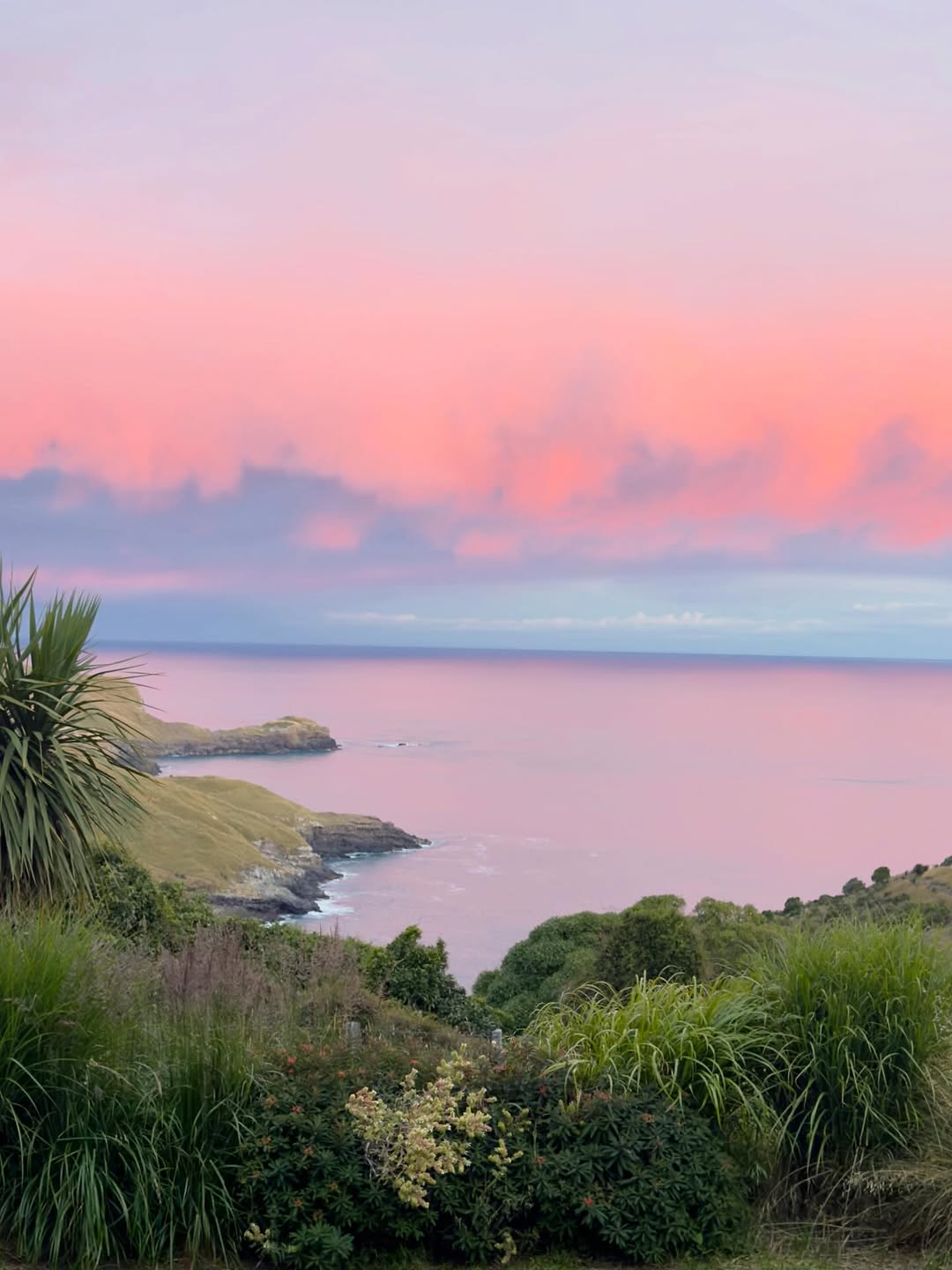 Thumbnail of www-instagram-com-p-dsuil8gfic7-img-index-2 3