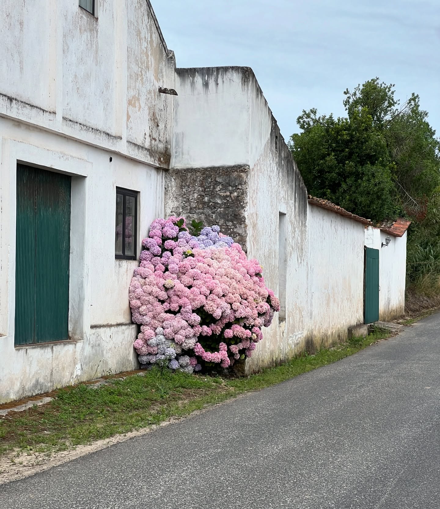 Thumbnail of c8-rsshxye4-8a6b9ba521fd41c0 0