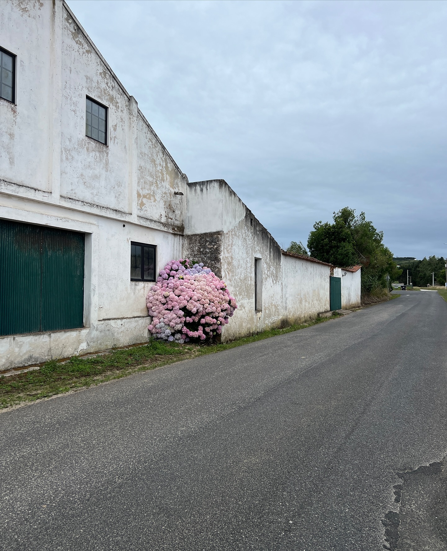 Thumbnail of c8-rsshxye4-8a6b9ba521fd41c0 3