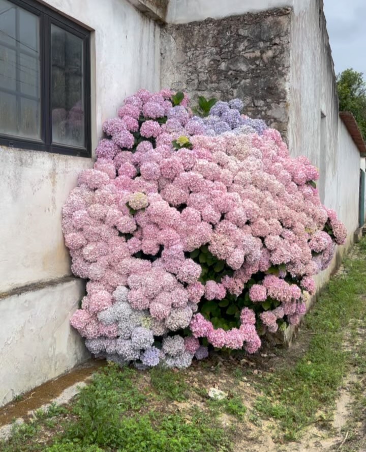 Thumbnail of c8-rsshxye4-8a6b9ba521fd41c0 4