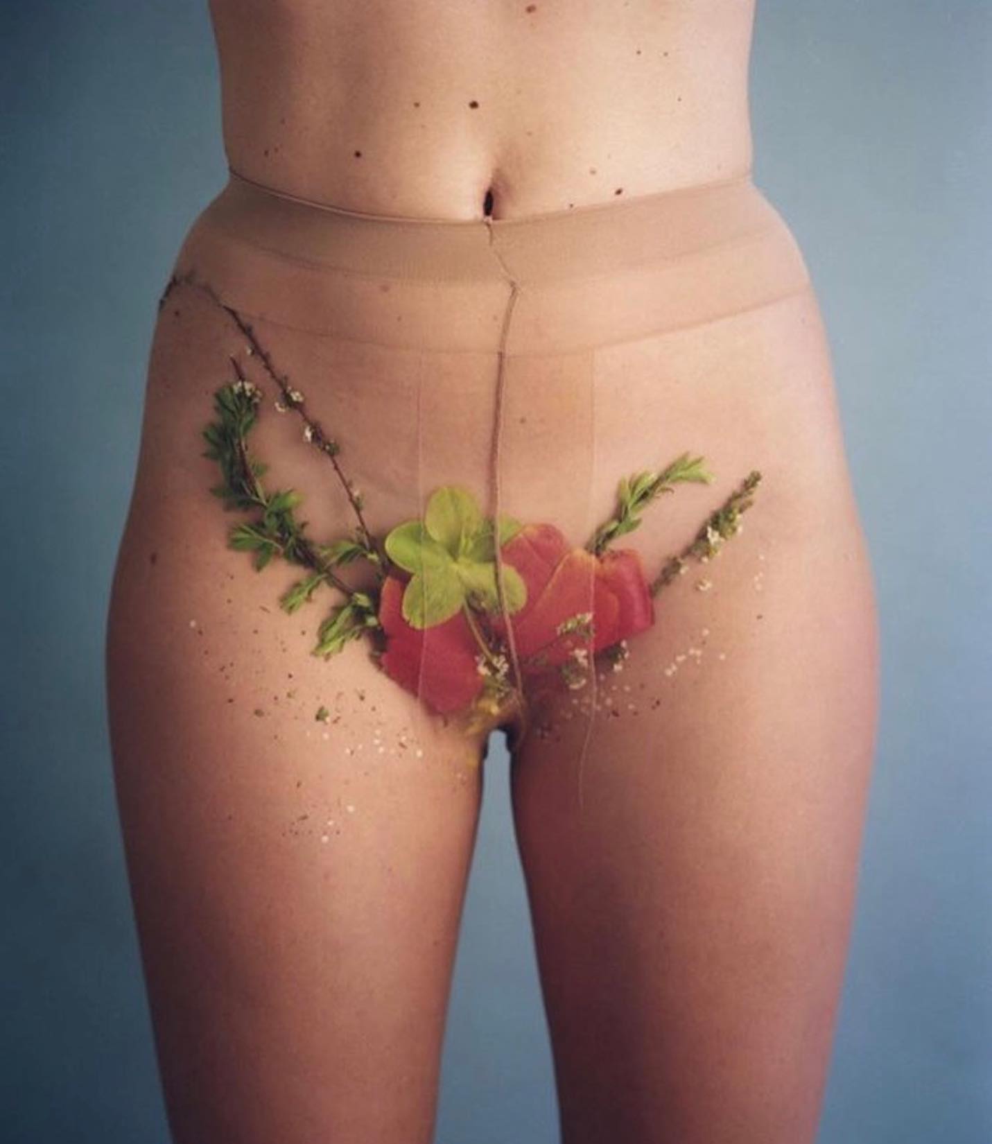 Thumbnail of p-b9pe0zagjnd-8b9f4bb1ee554f2d 0