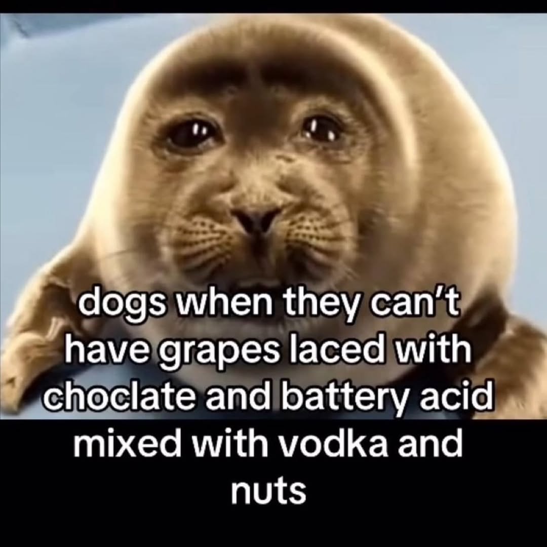 Thumbnail of www-instagram-com-p-drqss-8dnt8-img-index-4 9