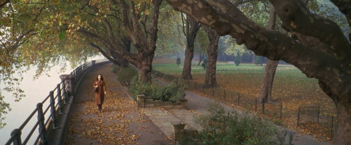 Thumbnail of www-x-com-suddenxfear-status-1974480363964527076-8e6b25d953c74052