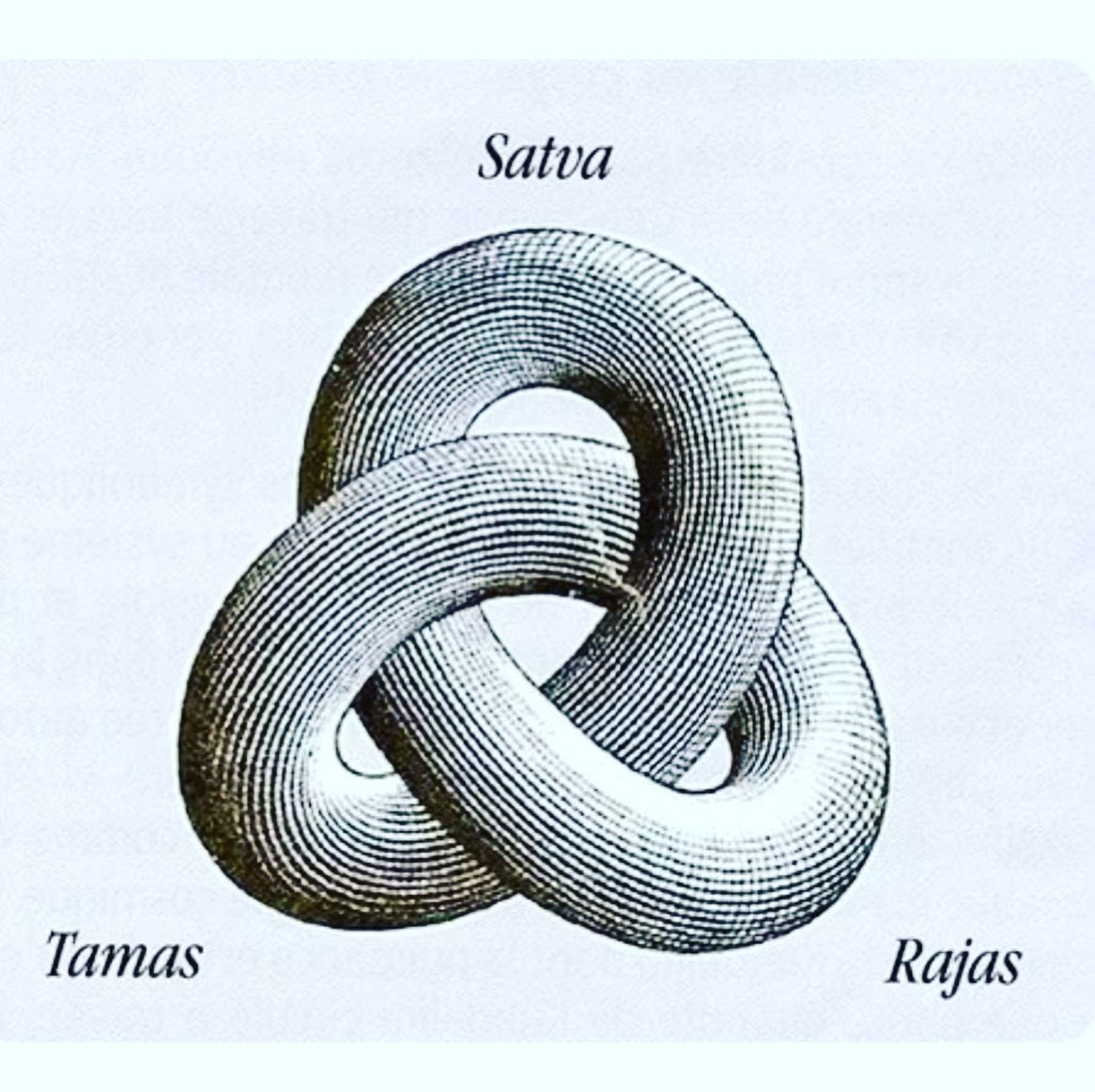 Thumbnail of cndusjiu-9p-8ef85d3246c04012 7