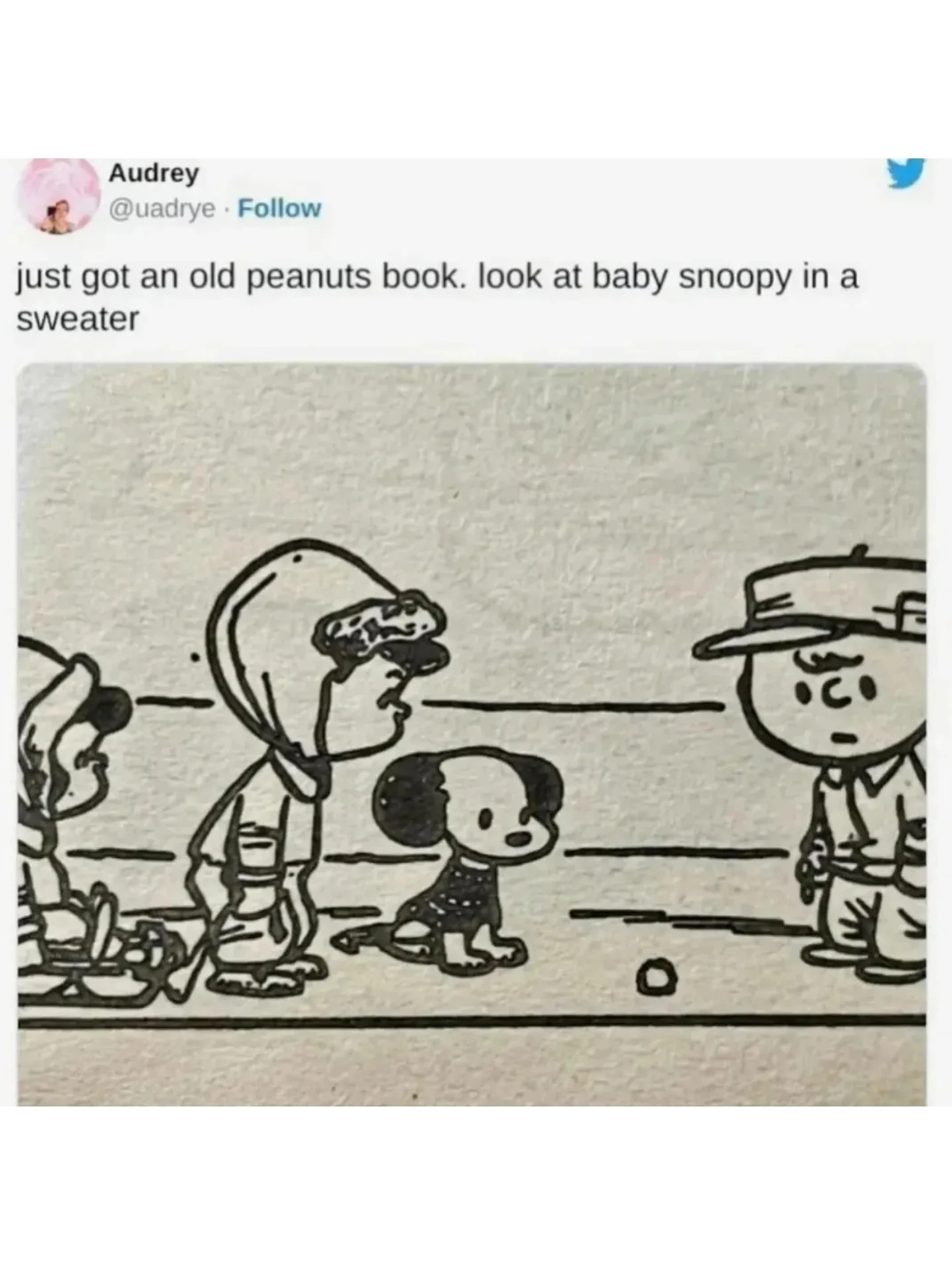 Thumbnail of p-dpz3s1yaqo0-8fd386722dee4dc2 10