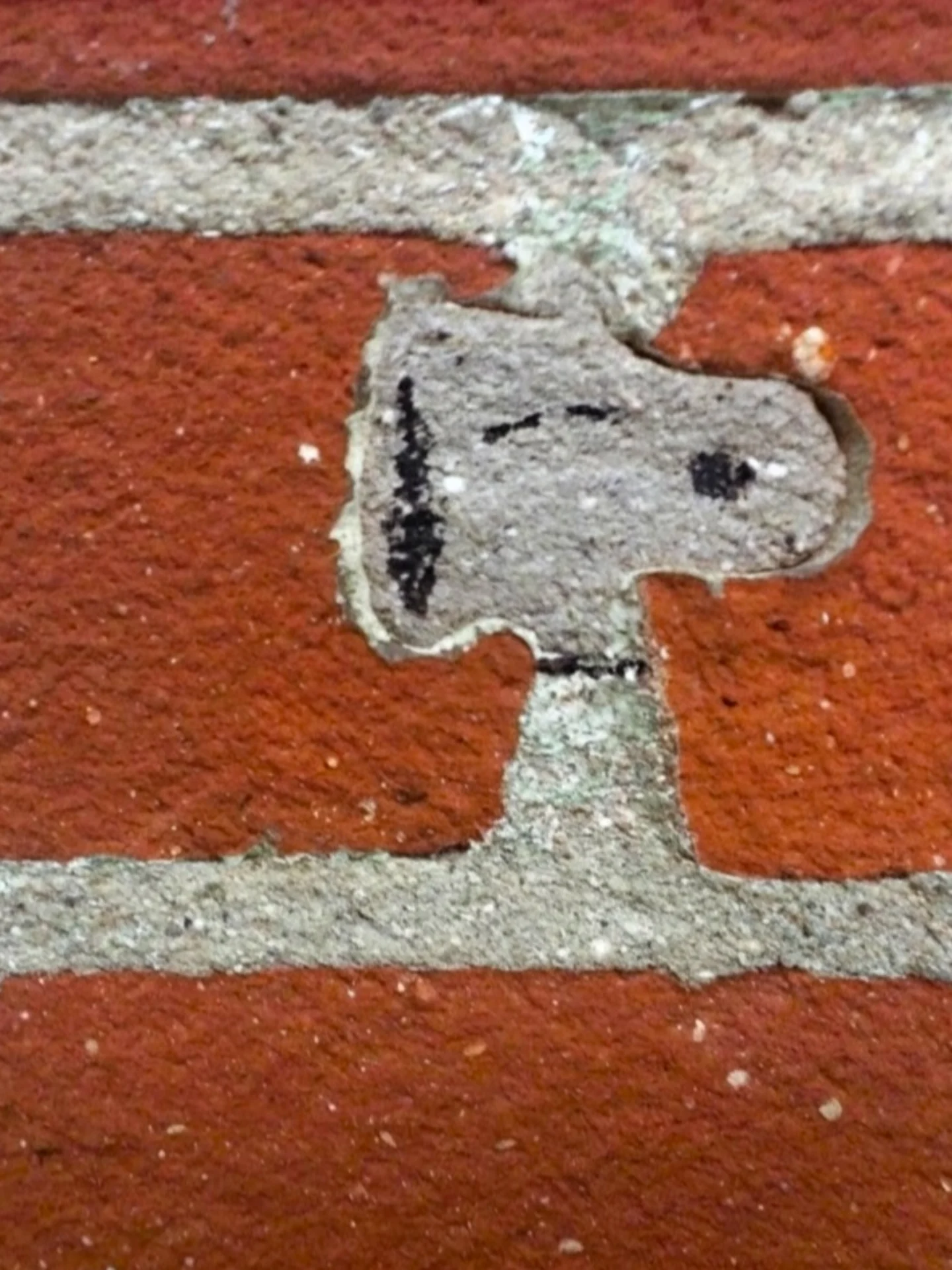 Thumbnail of p-dpz3s1yaqo0-8fd386722dee4dc2 12