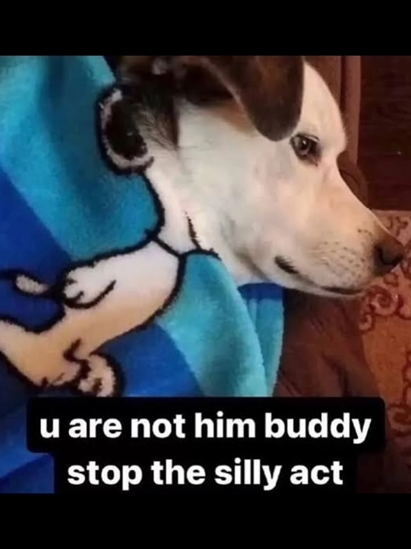 Thumbnail of p-dpz3s1yaqo0-8fd386722dee4dc2 14