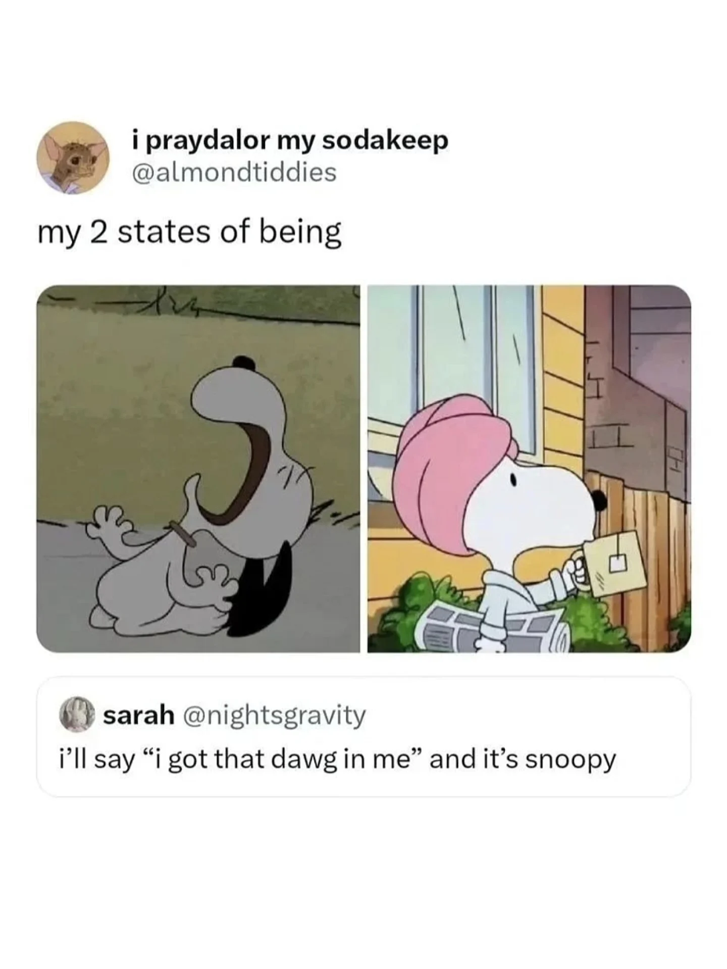 Thumbnail of p-dpz3s1yaqo0-8fd386722dee4dc2 18