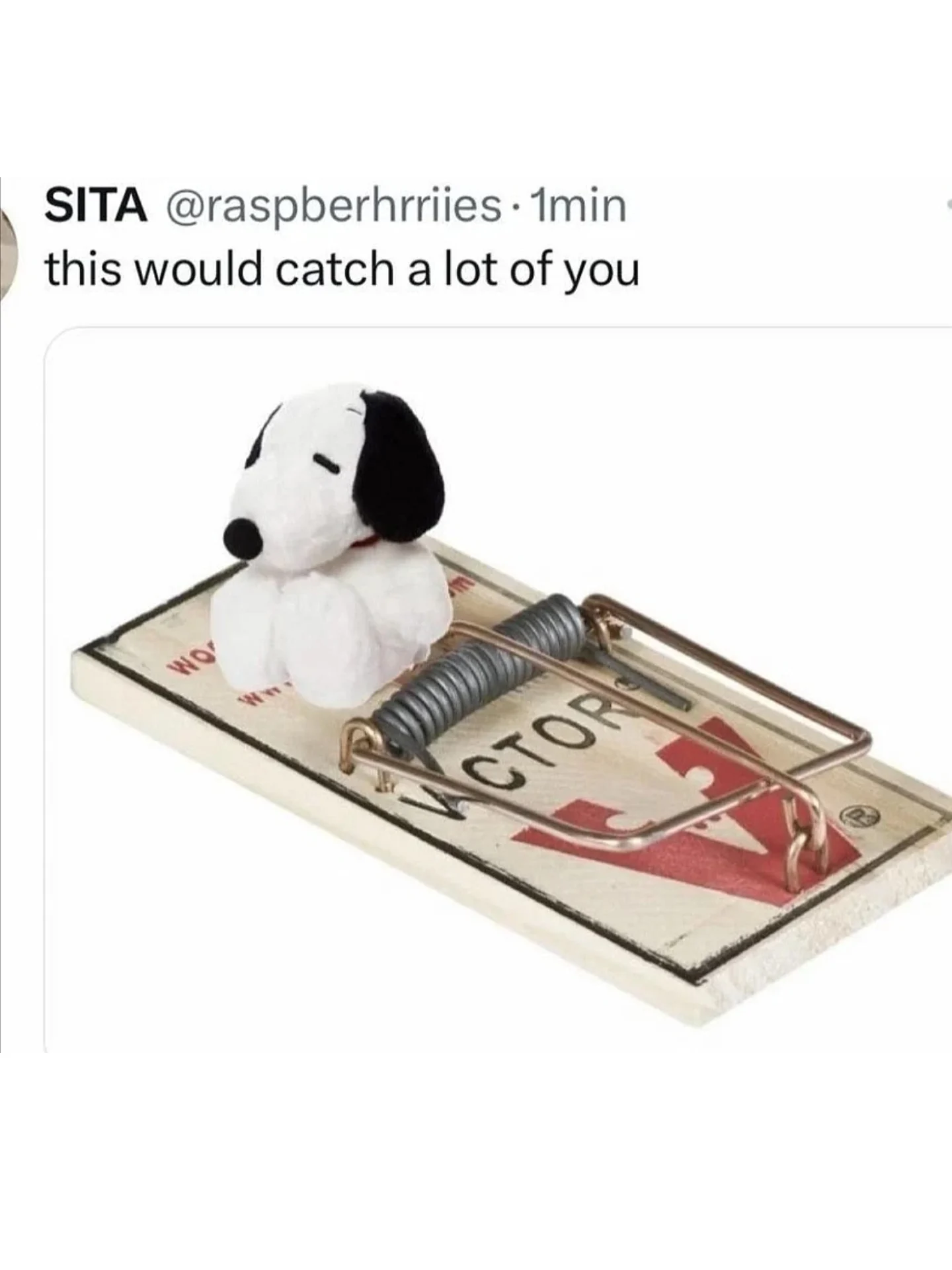 Thumbnail of p-dpz3s1yaqo0-8fd386722dee4dc2 6