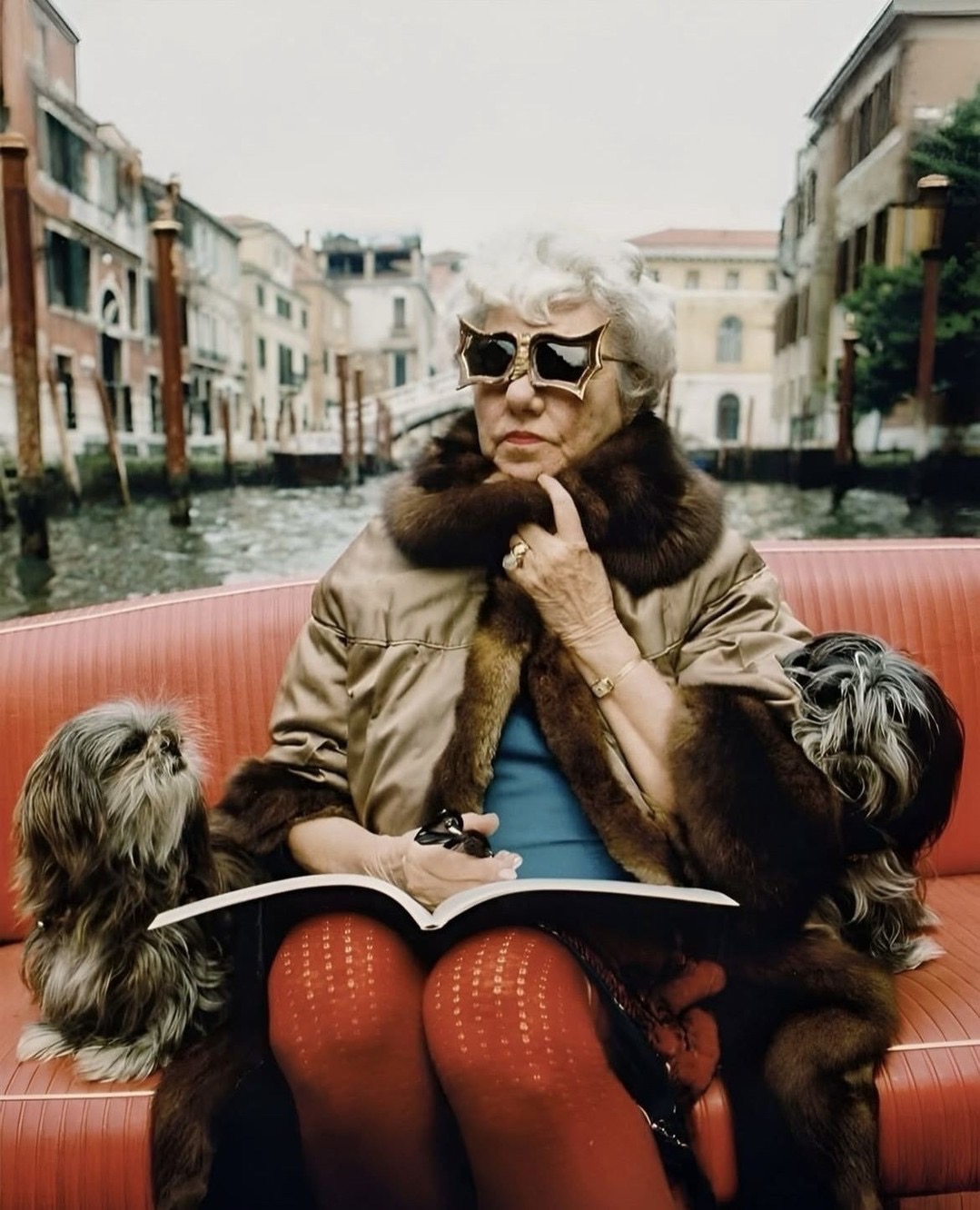 Thumbnail of rose-florence-roseflorence-964af4b16efc431b 0