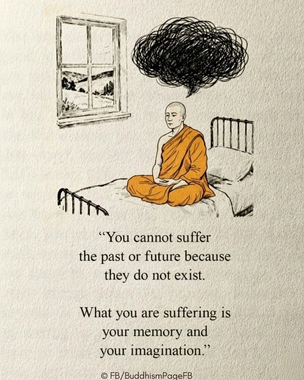 Thumbnail of the-quantum-model-thequantummodel-9713608eab154eff 0