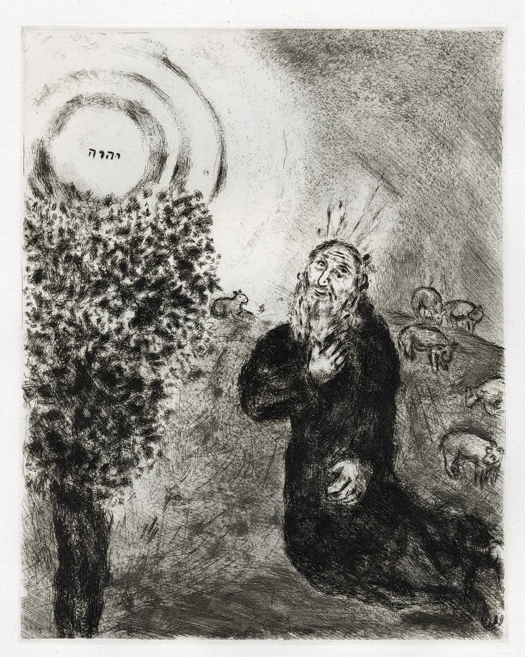 Thumbnail of www-instagram-com-p-dwmc11gjeis-img-index-9 5