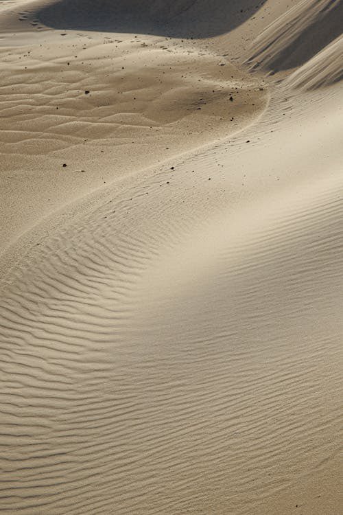 Thumbnail of www-x-com-market-sleuth-status-2008905981934153936