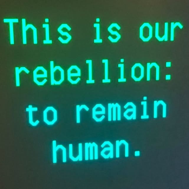 Thumbnail of www-instagram-com-p-dwh8pwffycx 0