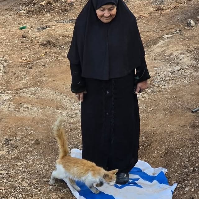 Thumbnail of www-instagram-com-p-dwh8pwffycx 3